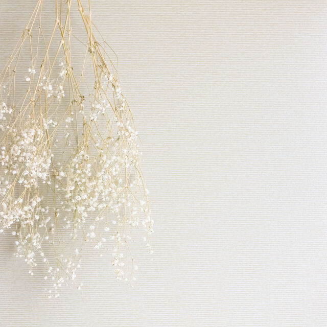 pixta_60805075_M