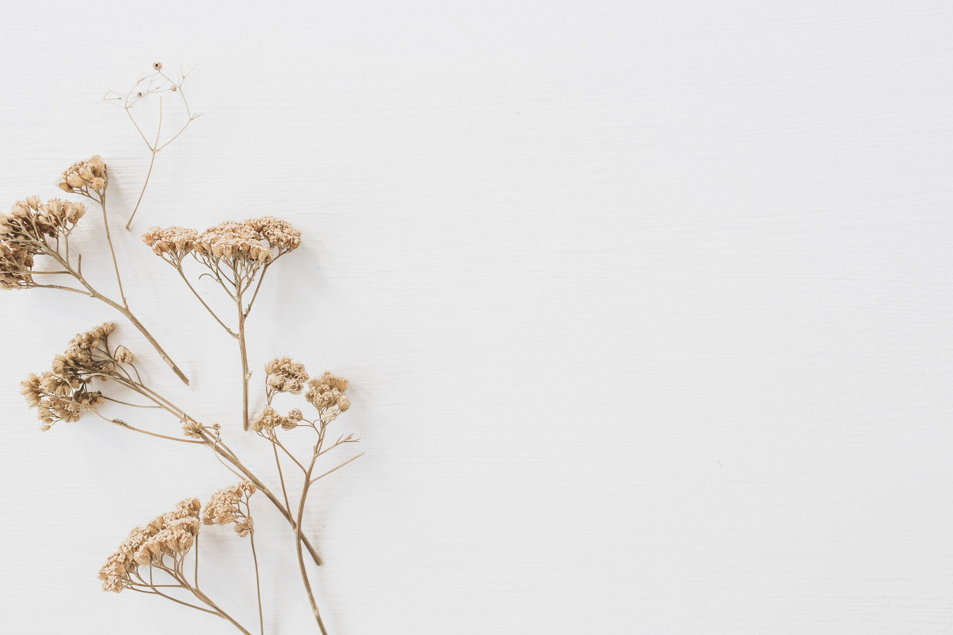AdobeStock_274781417